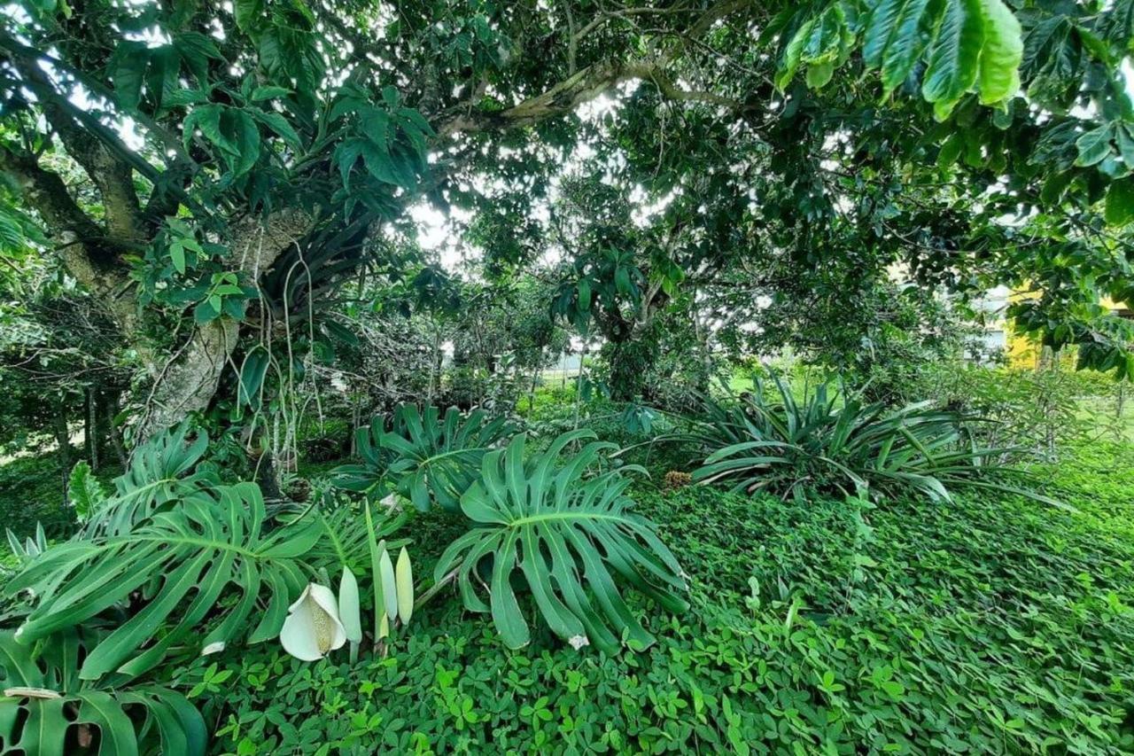 Flat Em Serra Negra - Bezerros Buitenkant foto