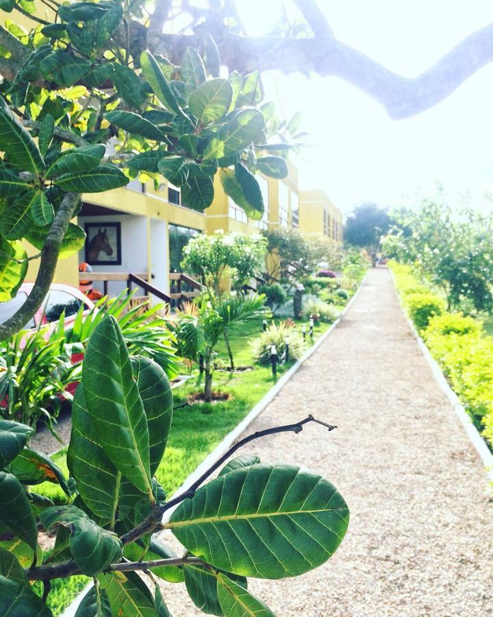 Flat Em Serra Negra - Bezerros Buitenkant foto